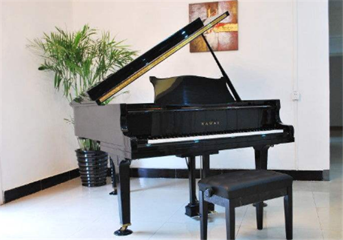 乐源钢琴艺术教育中心——科学、先进的教学理念，一流的教学设施