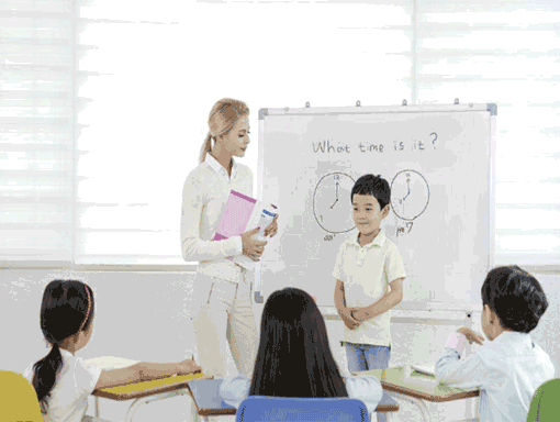 莱克教育——专业一对一教学模式，资深专业的外籍顾问执教