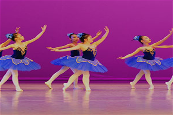 培蕾少儿舞蹈培训——“培蕾少儿舞蹈培训”就是孩子们通向快乐舞蹈、健康成长的桥梁!