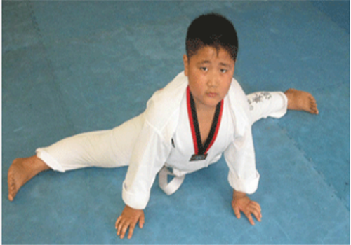 飞翔跆拳道教育——强大的师资力量，专业的服务队伍