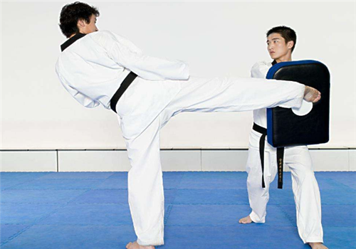 飞翔跆拳道教育——强大的师资力量，专业的服务队伍