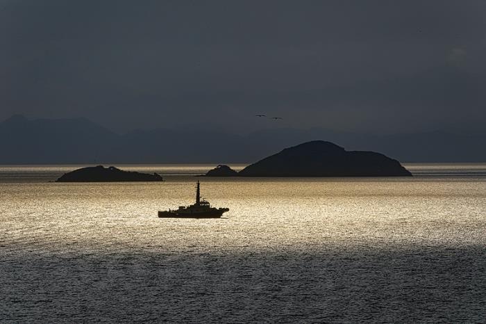 租赁广东、 广州、 白云区10000m²仓库