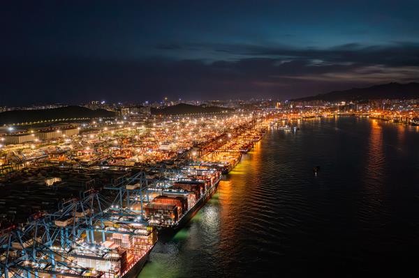 广东佛山到美国杰克逊维尔冷藏船整舱运输快