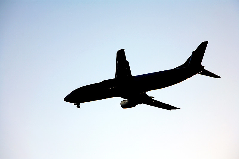 中国广东广州到美国达拉斯生鲜冷链空运