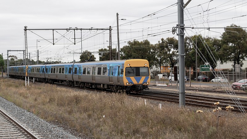 深圳到查尔斯顿生鲜冷链空运