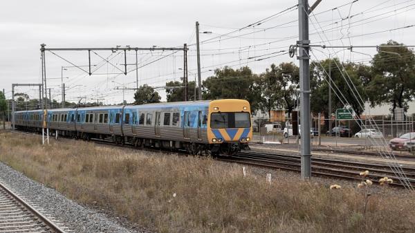 深圳到查尔斯顿生鲜冷链空运