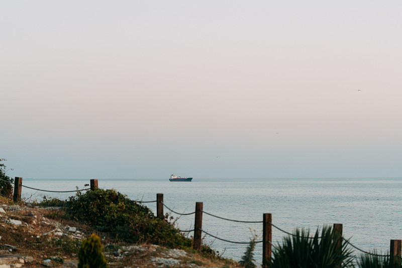 上海—上海到委内瑞拉—加拉加斯独立冷藏集装箱直达海运线