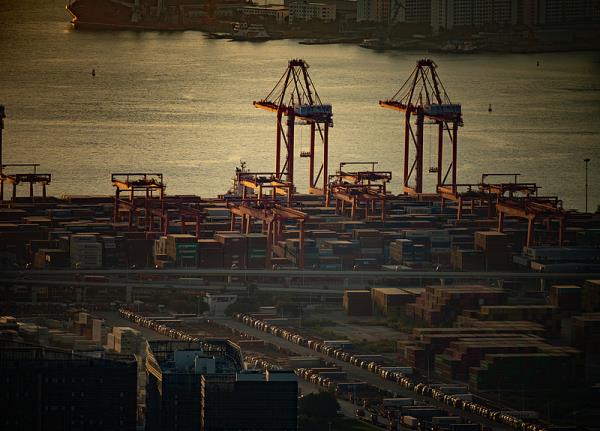 深圳到美国巴尔的摩独立冷藏集装箱专属船舶