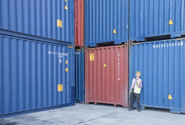 中国天津到美国诺福克冷藏船整舱运输跨境电