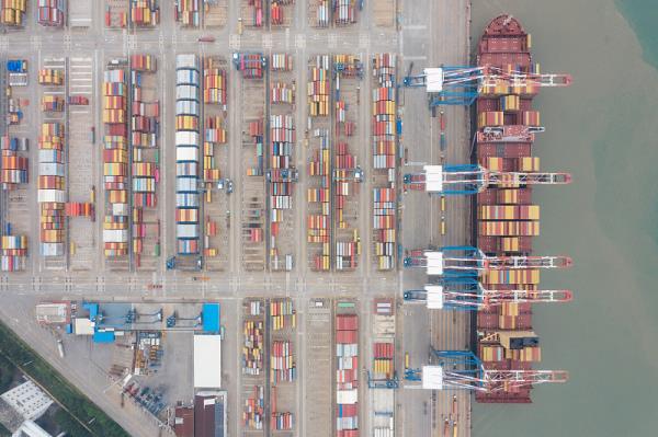 中国东莞到美国费城冷藏船整舱运输专属货轮