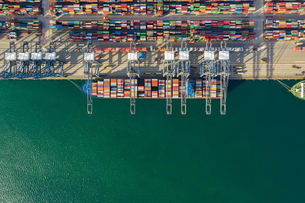 广东东莞到美国杰克逊维尔独立冷藏集装箱海