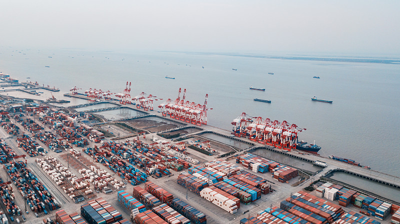 中国东莞到美国塔科马冷藏船整舱运输洲际定点航线