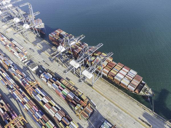 中国广东广州到奥克兰整柜海运定点轮航线