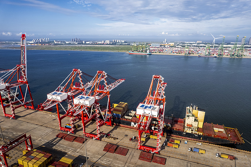 上海—上海到俄罗斯-圣彼得堡独立冷藏集装箱绿色海运走廊