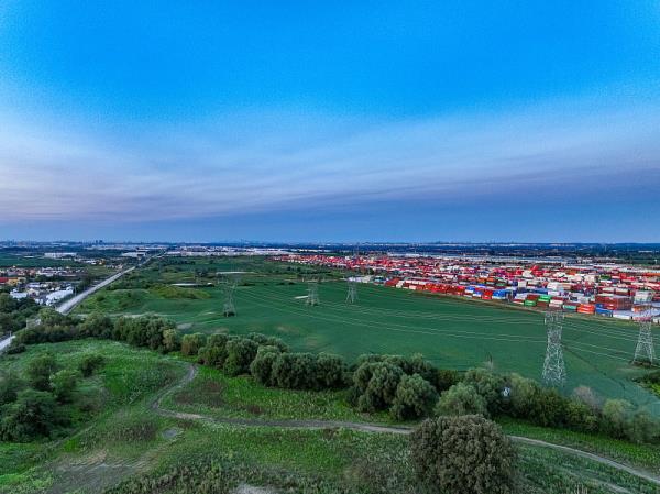 秦皇岛市到美国巴尔的摩(Baltimore)自贸区