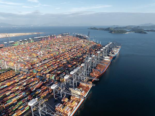 深圳到美国塔科马班轮运输专属船舶航路