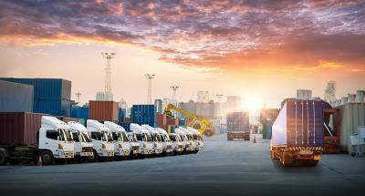 地板用木材通过杭州环球货运运输到美国路易