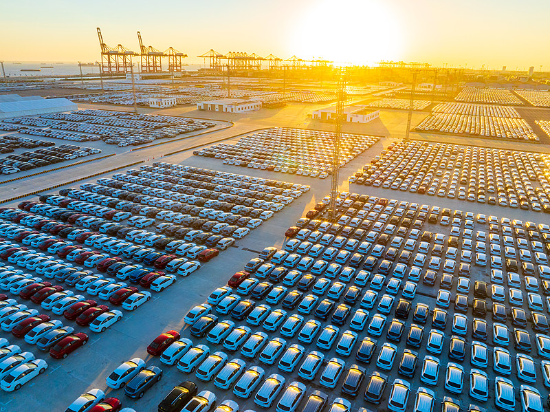 户外景观木宁夏银川国际运输派送到韩国首尔 户外景观木宁夏银川国际运输派送到韩国首尔