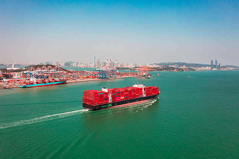 从东莞将椰子邮寄到美国孟菲斯 从东莞将椰子邮寄到美国孟菲斯