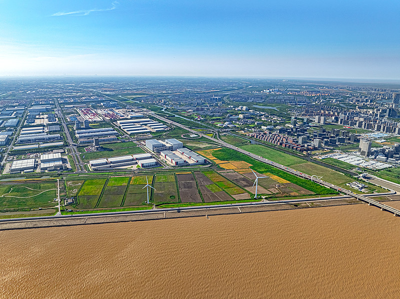 从中国深圳将阿胶寄到美国查尔斯顿