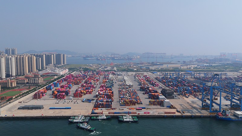 基于中国厦门把多肉植物寄到美国诺福克