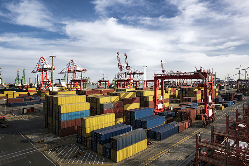 马铃薯通过中国上海环球货运准时送达荷兰鹿特丹