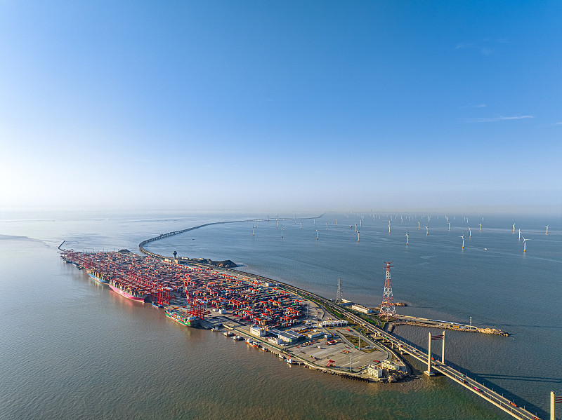 黑酸枝木利用中国杭州国际货运运输到杰克逊维尔