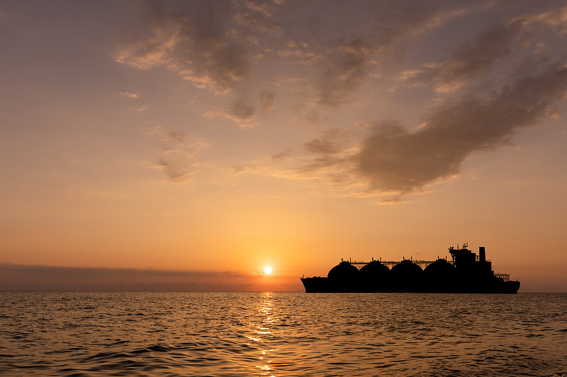 活植物采取广东广州国际物流快送到美国纽约