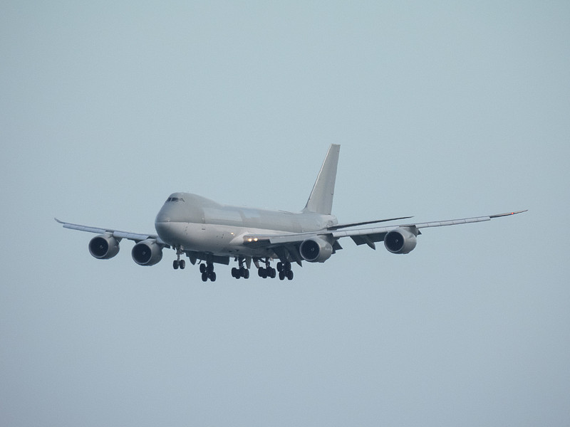 苹果、柑橘采用宁波环球货运及时送达美国迈阿密