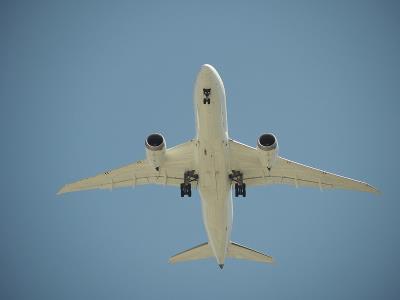 雪花糕通过武汉国际运输完整送达美国卡姆登