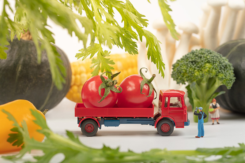 镀铝锌带钢选用广东深圳全球物流送达新加坡