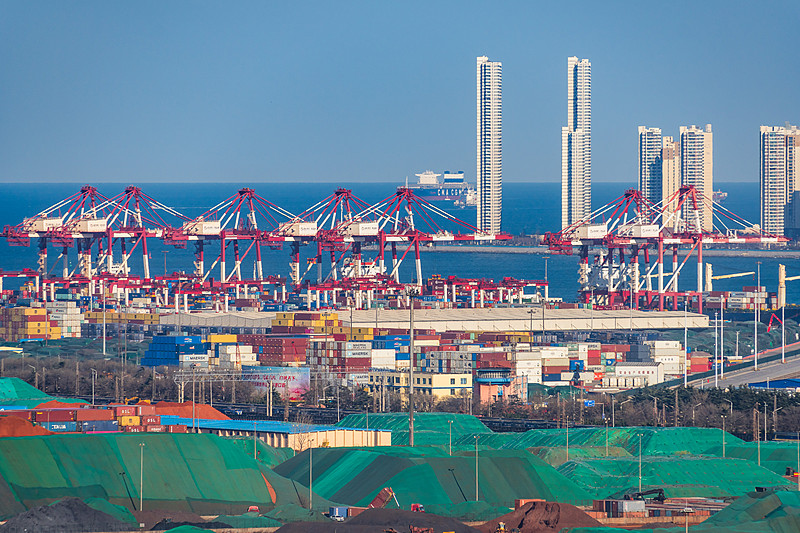 鸡翅木使用浙江义乌跨境物流快速送达英国费利克斯托