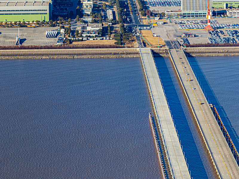 门窗用木材应用江苏连云港国际货运及时送达阿联酋迪拜