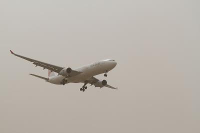 纸板借助中国长春环球货运托运至珀斯安博伊