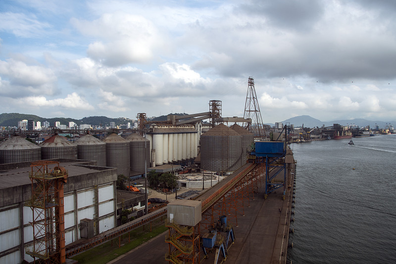 樟子松采取中国上海环球货运运到西班牙巴塞罗那