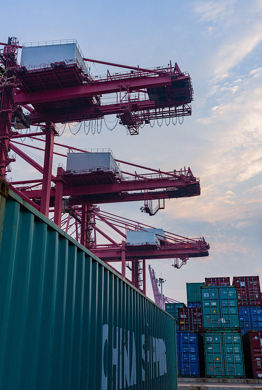 乐器用木材使用中国上海外贸物流配达美国塔科马