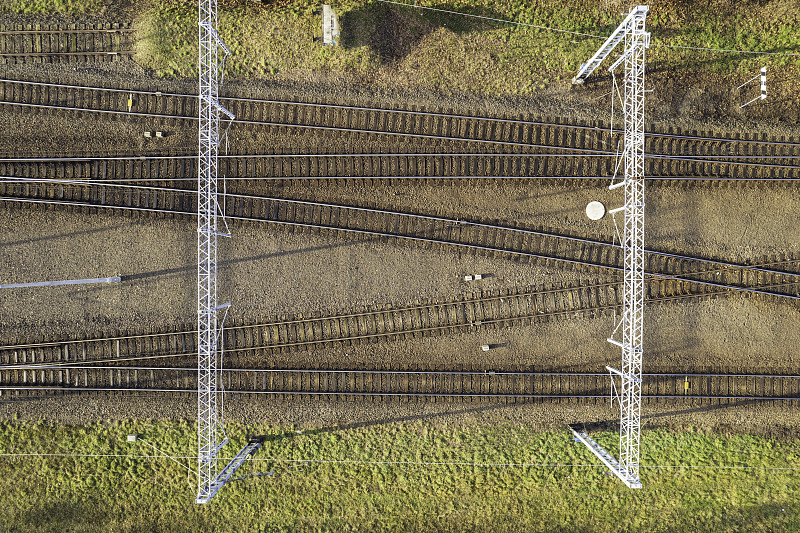 通过重庆将活体动物寄到美国丹佛