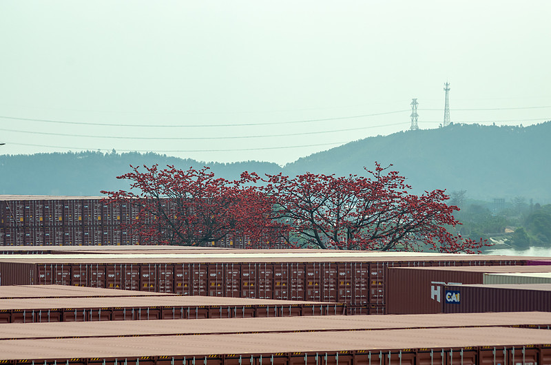 铝合金（建筑、航空、交通等用）应用吉林长春外贸物流送到巴拿马科隆