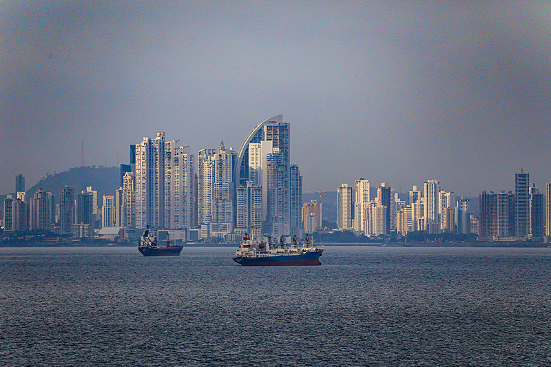 初级农产品应用福建厦门国际快递派送至阿联酋迪拜