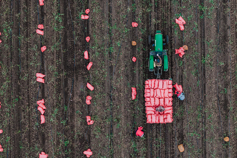 黄檀木使用哈尔滨环球货运派送到美国波特兰(Portland)