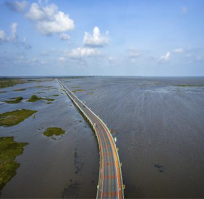 速冻食品运用中国重庆跨境物流发往美国波士