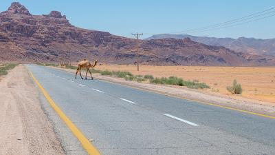 从中国深圳将移动电源邮寄到美国里士满