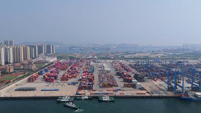 基于中国厦门把多肉植物寄到美国诺福克