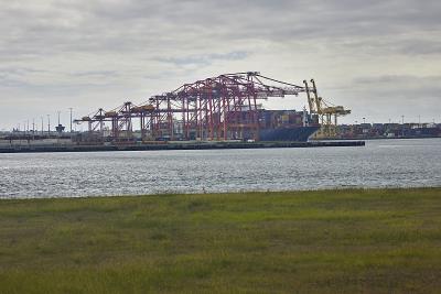 经过厦门零食寄到美国塔科马(Tacoma)