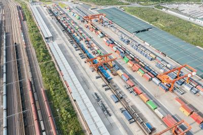 通过中国石家庄中药粉末邮寄到美国西雅图