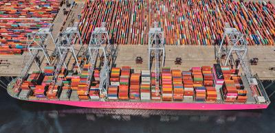 饼干模具利用深圳国际货运运输到纽约