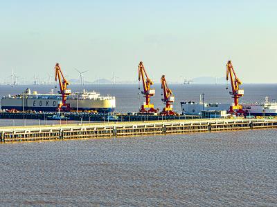 基于深圳将粽子邮寄到美国萨凡纳