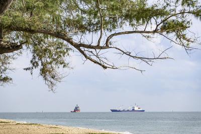 窗磁通过深圳全球物流递送到底特律