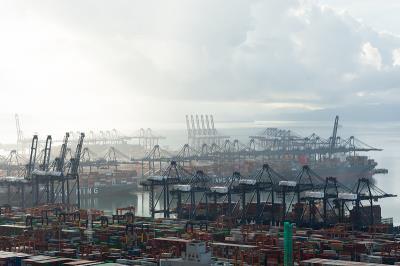 从佛山把狗粮邮寄到美国塔科马