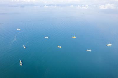 圣诞装饰品大连外贸物流运输到奥克兰